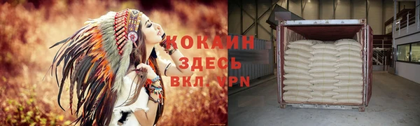 дживик Богородицк