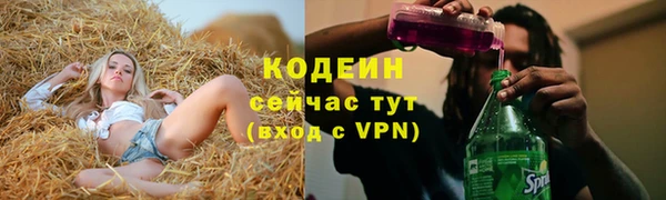 дживик Богородицк