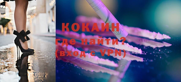 дживик Богородицк