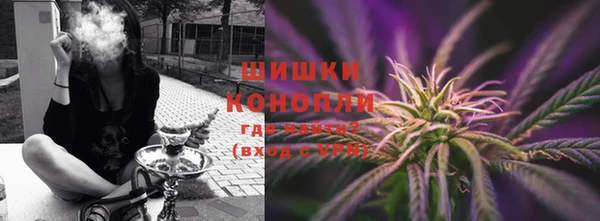 твердый Богданович