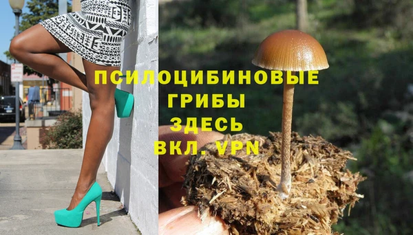 соль курить ск Бородино