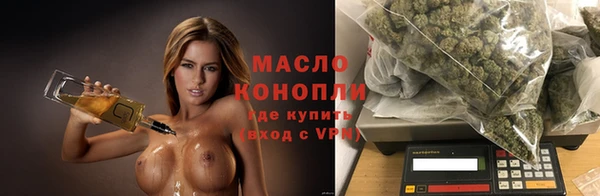 дживик Богородицк