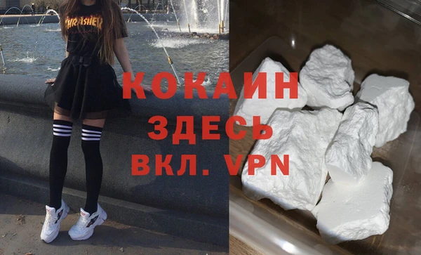 твердый Богданович
