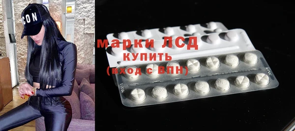 дживик Богородицк